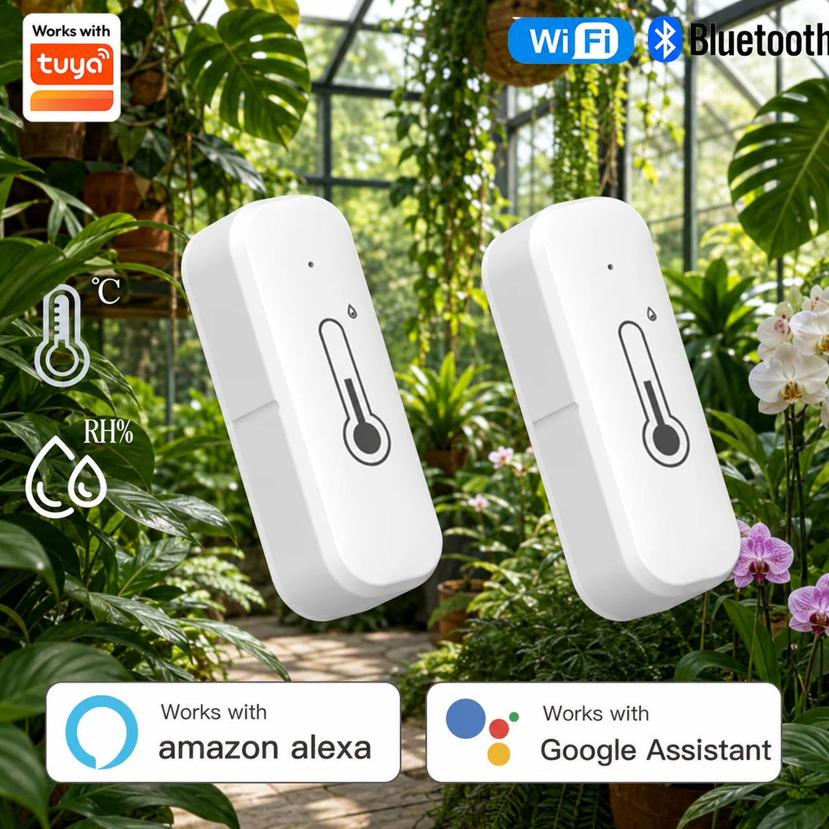 Smart WiFi Thermometer & Hygrometer