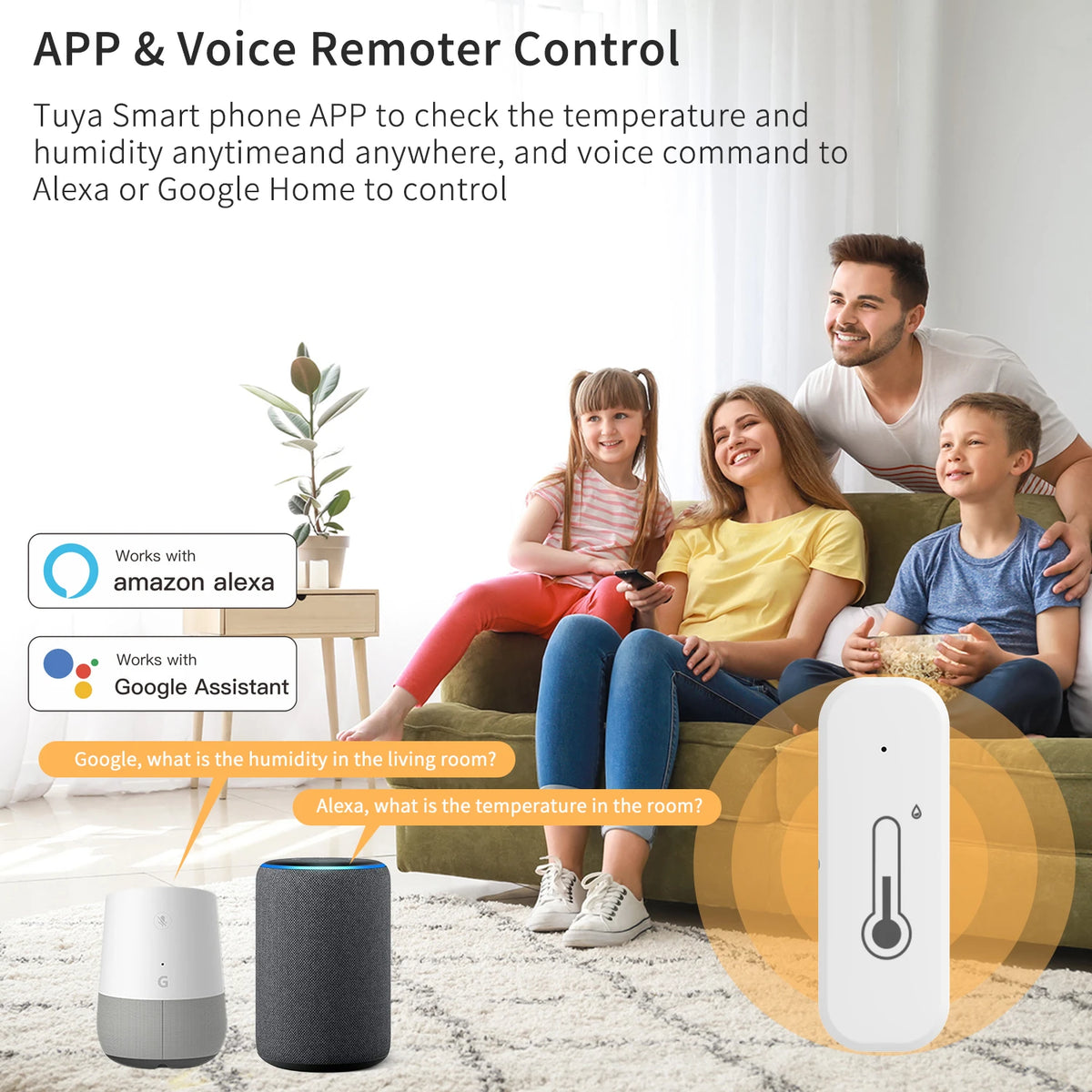Smart WiFi Thermometer & Hygrometer